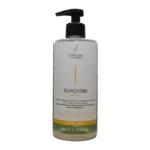 شامبو بورجانيك بروفشنال كوزماتيكس | Borganik Antifrizz Professional Cosmetics