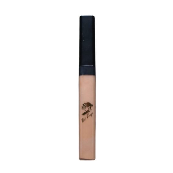 كونسيلر بيل فيساج | Bell Visage Concealer