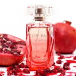 ⁦عطر ايلي صعب ريزورت كولكشن ليمتد اديشن او دو تواليت للنساء | Elie Saab Resort Collection Limited Edition Eau de Toilette for Women⁩ - الصورة ⁦3⁩