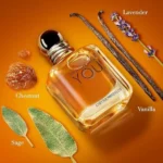 ⁦عطر ارمني سترونجر ويذ يو الرجالي او دو تواليت | Armani Stronger With You Men's Eau de Toilette⁩ - الصورة ⁦4⁩